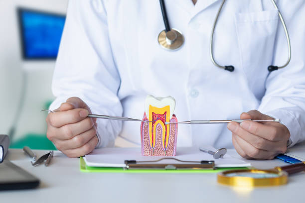 Best Urgent Tooth Repair  in Pontoon Beach, IL